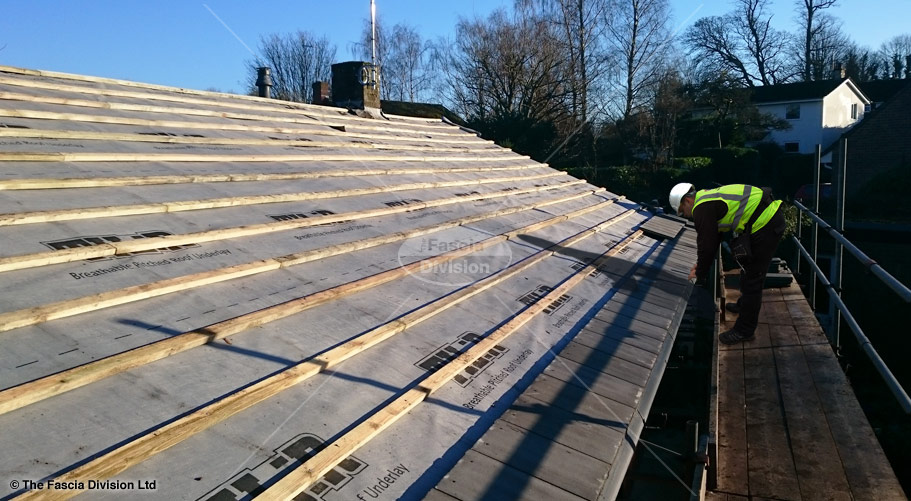 The Fascia Division™ Roofing Pitched Roof Flat Roof Rubber Roof