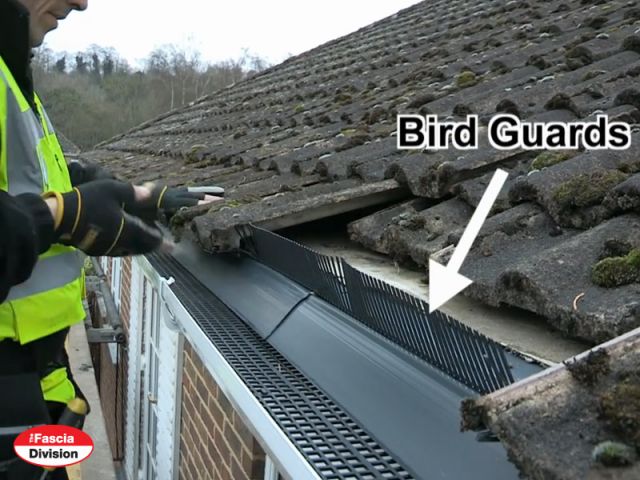 bird guards bird guard systems eaves comb filler the bird guards bird guard systems eaves comb filler the
