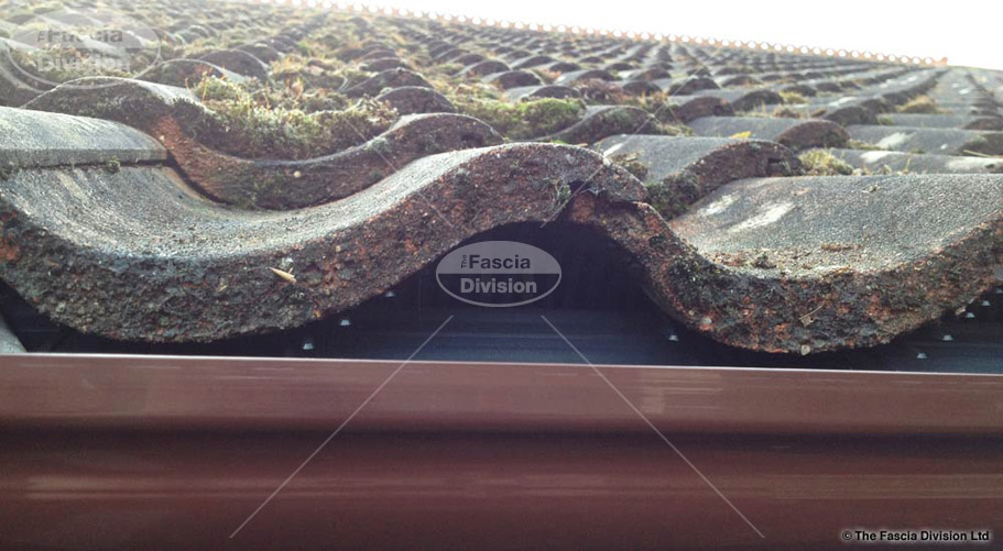 the fascia division bird guards bird guard systems the fascia division bird guards bird guard systems