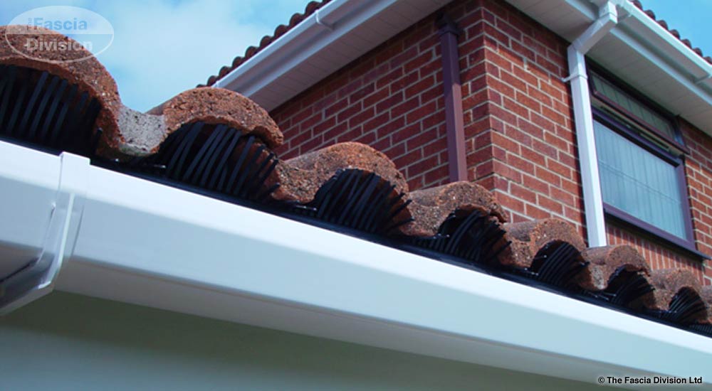 the fascia division bird guards bird guard systems the fascia division bird guards bird guard systems