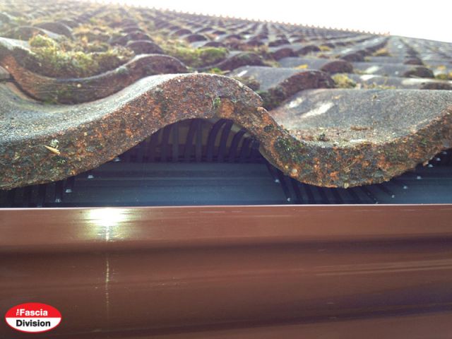bird guard guards roof eaves comb birds filler vermin tiles fascia prevent fitted keep getting space pantiles entering