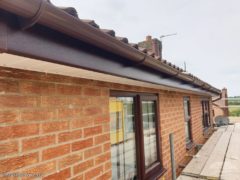 Rosewood fascia with white soffits