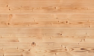 Durasid Foresta Siberian Larch swatch