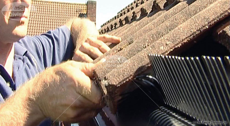 The Fascia Division™ Bird Guards Bird Guard Systems Eaves Comb Filler